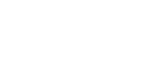 Client logo - Hyundai